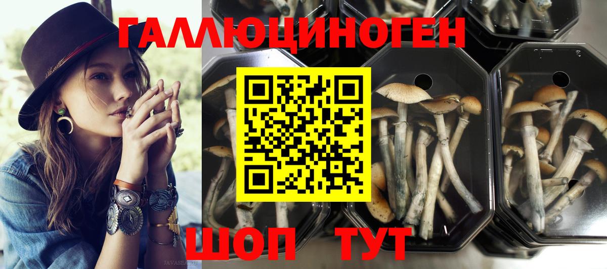 Псилоцибиновые грибы ЛСД Шелехов